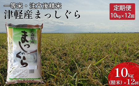 一等米 津軽産まっしぐら10kg（精米）×12回　