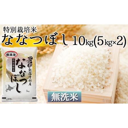 ふるさと納税 北海道新篠津村産 特別栽培米ななつぼし10kg（5kg×2） 北海道新篠津村