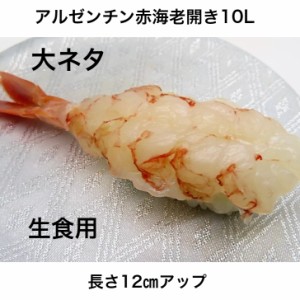 赤海老 20尾 寿司ネタ 10L お造り赤エビ開き(約12ｃｍ) すしねた のせるだけ 生食用 あかえび アカエビ 刺身用 海鮮丼 大ネタ 手巻き寿司