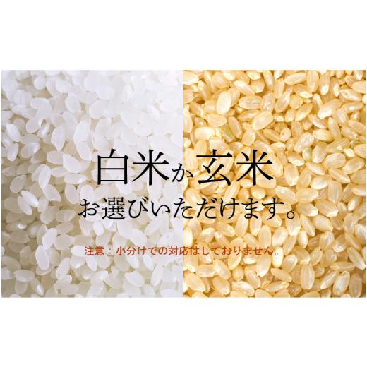 ふるさと納税 福井県 越前町 [e35-a004_01] 減農薬米 こしひかり 5kg 令和6年 福井県産（白米）