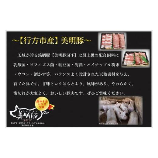 ふるさと納税 茨城県 行方市 DT-28常陸牛肩ロース180ｇ＋美明豚200ｇ（ロース100ｇ・ばら100ｇ）