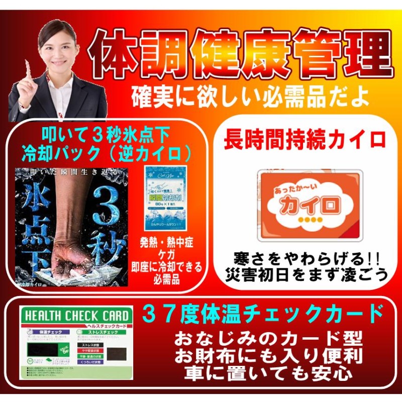 防災セット44点 災害初動を生き抜く静岡県民が選んだ 非常用持ち出し袋