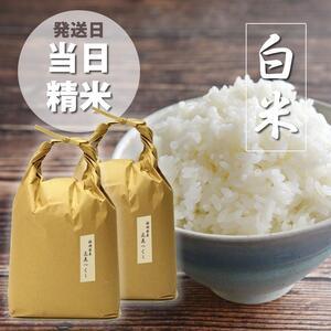 ふるさと納税 福岡県産評価のお米「元気つくし」5kg×2袋 10kg [白米] 福岡県大川市