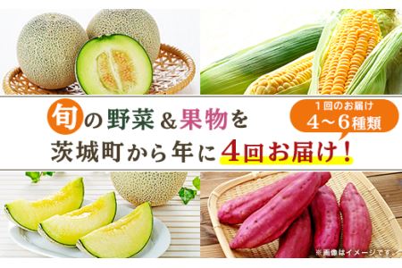 162茨城町産「旬の野菜果物」セット