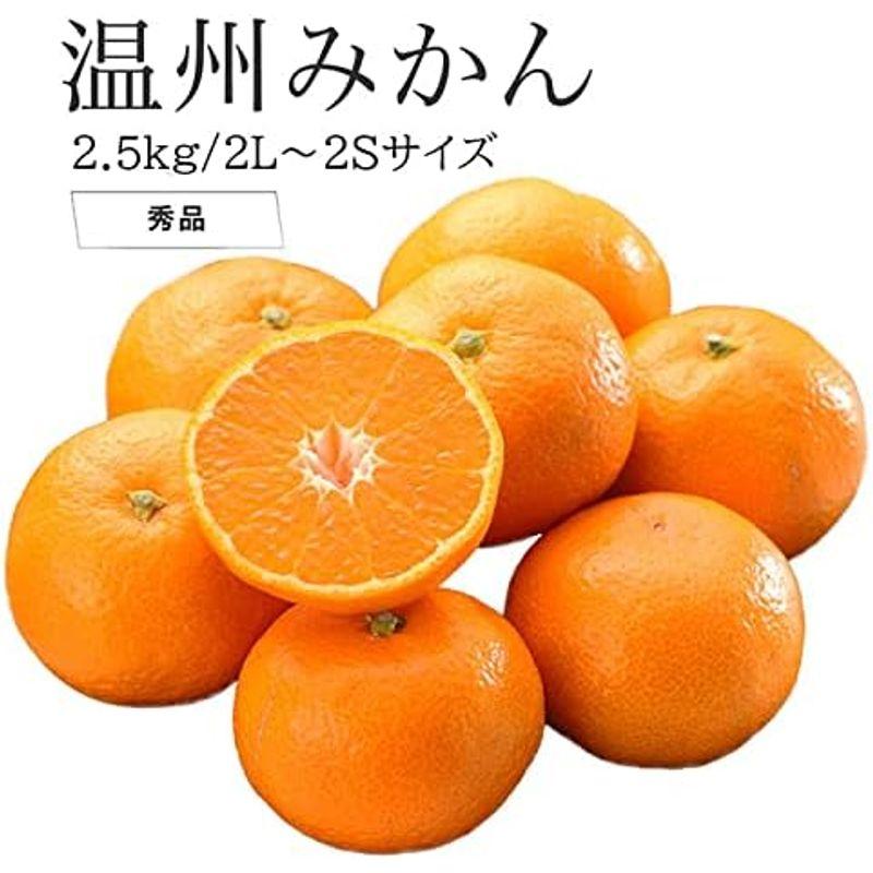 お歳暮 みかん 温州みかん 産地厳選 秀品 2L?2Sサイズ 2.5kg 蜜柑 ミカン ギフト お取り寄せ