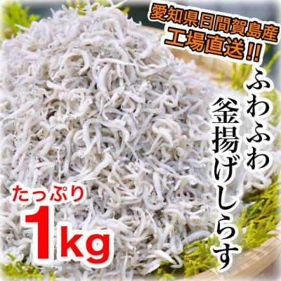 ふるさと納税 南知多町 愛知県日間賀島産・1kg釜揚げしらす・島の工場から直送