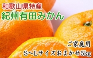 和歌山有田みかんご家庭用5kg (S～Lサイズおまかせ) ※2023年11月中旬～2024年1月中旬頃に順次発送予定 ふるさと納税 ミカン