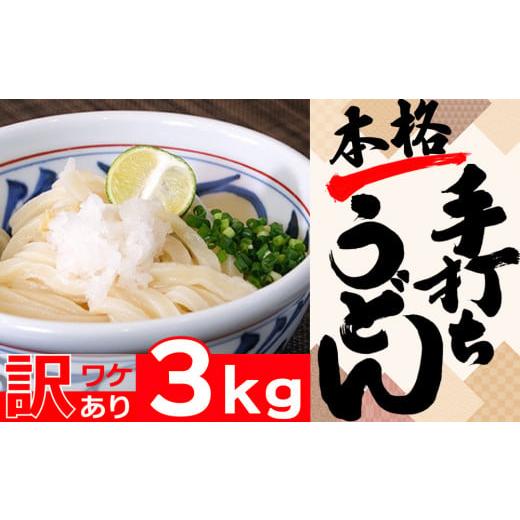 ふるさと納税 千葉県 鴨川市 本格手打ちうどん(冷凍)　約3kg（16人前）[0010-0266]