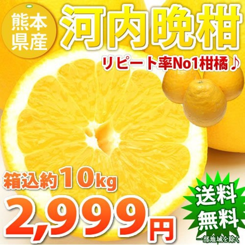 河内晩柑 送料無料 訳あり 箱込約10kg 内容量9kg + 補償分500g みかん ミカン 柑橘 ジューシーみかん 和製グレープフルーツ 文旦 通販  LINEポイント最大0.5%GET | LINEショッピング