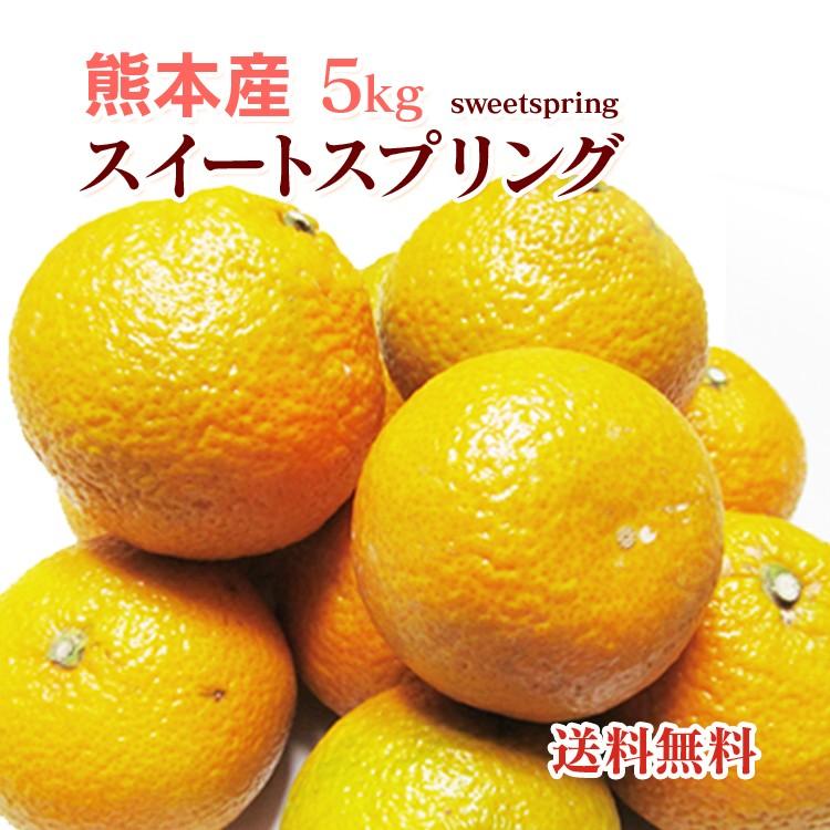 熊本産  スイートスプリング ５kg  送料無料   みかん オレンジ 完熟 九州 熊本 ギフト 贈答 お歳暮 スイート 柑橘