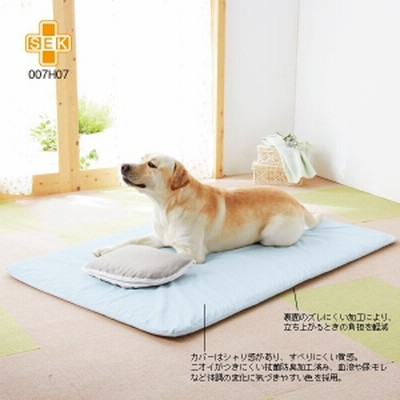 Peppy ペピイ フィーヌエアーマット 床ずれ防止ブレスエア 本体 S 介護用マット 犬用 通販 Lineポイント最大get Lineショッピング
