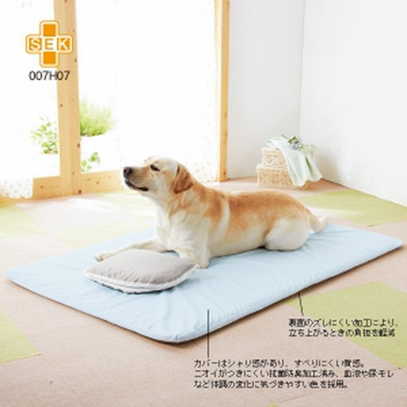 Peppy ペピイ フィーヌエアーマット 床ずれ防止ブレスエア 本体 S 介護用マット 犬用 通販 Lineポイント最大get Lineショッピング