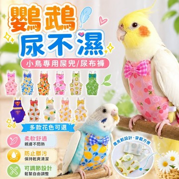 鸚鵡尿不濕 小鳥專用 鸚鵡屎兜 牡丹玄鳳虎皮鸚鵡屎兜 便兜紙尿褲 小鳥專用衣服 鸚鵡尿不濕 鸚鵡外出尿布 鸚鵡尿布