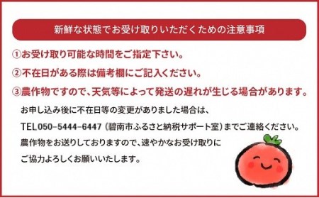 まるでトマトの宝石箱！フルーツジュエリートマト 1.8kg H004-117