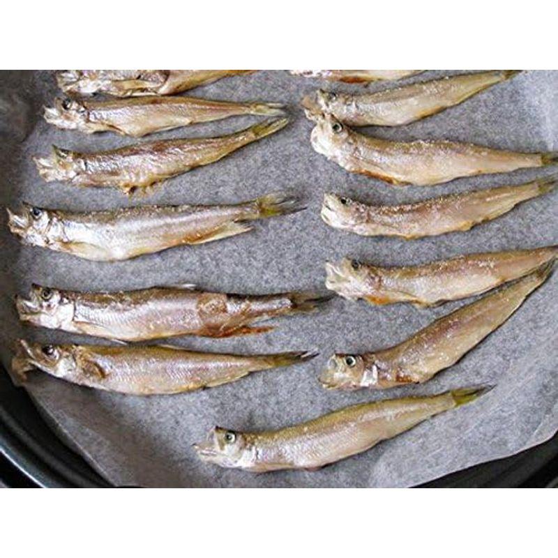 本ししゃもメス 30尾 (北海道産本柳葉魚) 卵を抱えた雌の子持ちシシャモ 北海道の特産種の本シシャモ (簡単調理) 海鮮ギフト 御中元や御