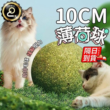 貓薄荷球 超大貓草球 貓薄荷玩具 磨牙潔齒 蟲癭果球 貓咪玩具 貓零食 貓草球 貓咪磨牙球 巨無霸貓薄荷球 QJ2709