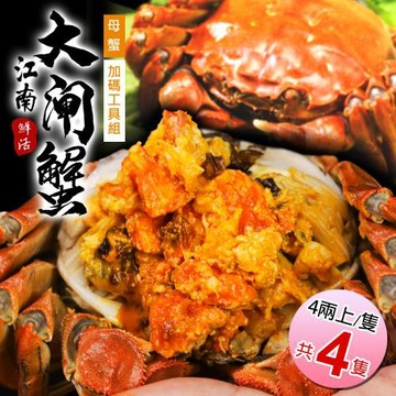 築地一番鮮-母4兩上大閘蟹 4隻/贈工具組/江南大閘蟹