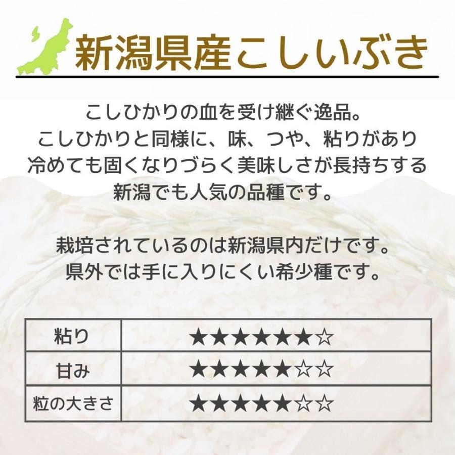 受注精米 新潟県産 新米  令和5年産 こしいぶき 5kg お米 送料無料 白米 2023年