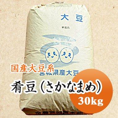 大豆 肴豆 さかな豆 宮城県産 30kg  令和4年産   業務用