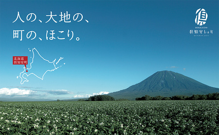 藏出 倶知安じゃが 令和5年 倶知安産 特栽 きたかむい LM 5kg D B 特別栽培 じゃがいも 越冬