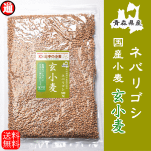 栽培期間中 農薬不散布 国産 小麦 玄小麦 ネバリゴシ 4kg 800g×5 送料無料 青森県産 パン や 製麺作り に適した 中力系 日本の小麦 業務