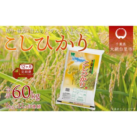 ふるさと納税 ＜12ヶ月定期便＞千葉県産「コシヒカリ」5kg×12ヶ月連続 計60kg A033 千葉県大網白里市