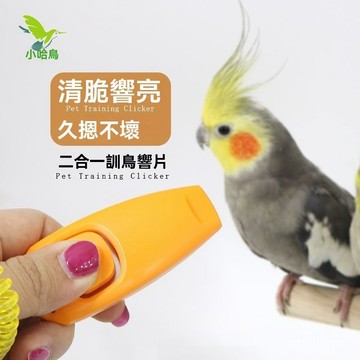 🔥免運下殺價💥鸚鵡訓練口哨 鳥類訓練口哨 鳥哨鳥笛 超聲波口哨 小鳥訓練哨子 不鏽鋼哨子哈鳥鸚鵡訓練響片+口哨  鸚鵡玩