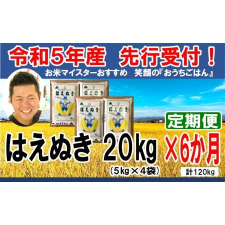 ふるさと納税  はえぬき 計20kg 月 1回配送 5kg×4袋 2023年産 [006R5-034] 山形県米沢市