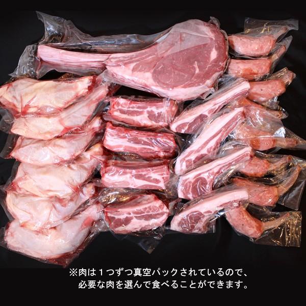 BBQ バーベキュー 焼肉 骨付き肉 5種スペシャルセット 3.5kg 送料無料