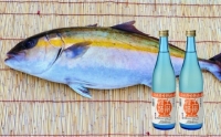 鮮魚・日本酒（幻の酒）定期便