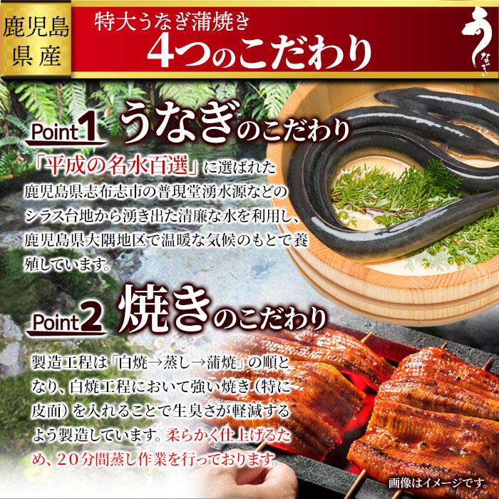 国産特大うなぎ蒲焼き 186g×2袋 鹿児島県産 こだわりのつまった特大うなぎ蒲焼き ふっくらジューシーで食べ応え満点