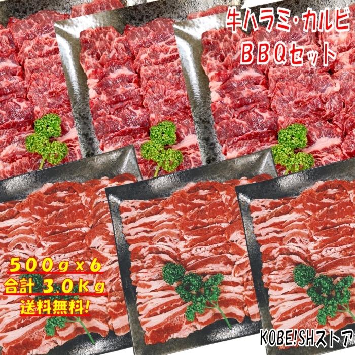 肉 バーベキュー 食材 牛肉 焼肉セット バーベキュー 肉 ハラミ BBQ 肉 バラ カルビ バーベキューセット 肉 BBQ 食材 焼肉 牛丼 3kg 8〜12人前