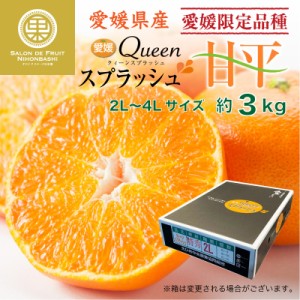 [予約 2024年2月1日-2月28日の納品]  クイーンスプラッシュ 甘平 3kg 化粧箱 2L3L4L 愛媛県産 最上級品 みかん 高糖度 最高級柑橘 高品位