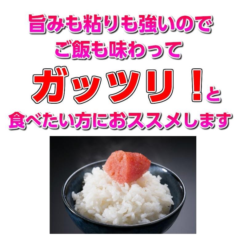 新米 米 お米 10kg コシヒカリ 茨城県 白米 5年産 送料無料 一部地域除く