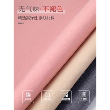 bagINBAG適用Longchamp龍驤包內膽小中大號包內置袋超輕包撐瓏驤