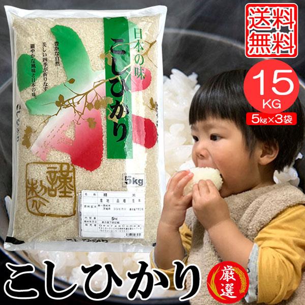 米15kg 米 お米 15kg コシヒカリ こしひかり 5kg×3袋 セット 送料無料 こめ 白米 精米 小分け 宮崎県産