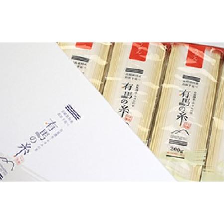 ふるさと納税 有馬の糸 手延べ うどん 3kg   南島原市   竹市製麺[SBT002] 長崎県南島原市