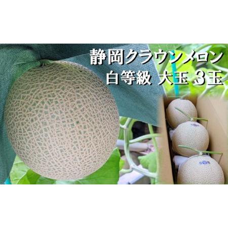 ふるさと納税 クラウンメロン 並 白等級 大玉 1.4kg前後 3玉入り メロン 果物 くだもの フルーツ マスクメロン デザート 青肉 静岡県袋井市