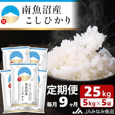 ふるさと納税 南魚沼市 南魚沼産こしひかり 精米 25kg(5kg×5袋) 全9回