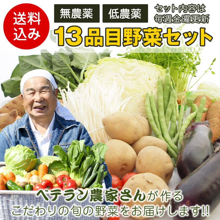 旬の野菜　お買い得 野菜 野菜セット 無農薬 低農薬 13品目 こだわり野菜セット 送料込　旬 ギフト 贈り物 プレゼント お取り寄せ お中元 お歳暮