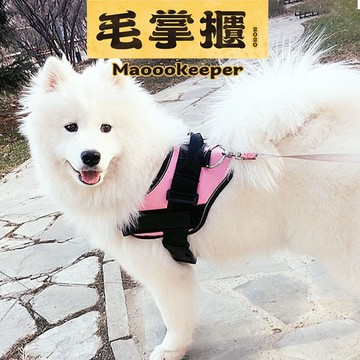 GOOUT 寵物胸背帶 胸背 牽繩 防暴衝 外出用品 毛掌櫃 maoookeeper