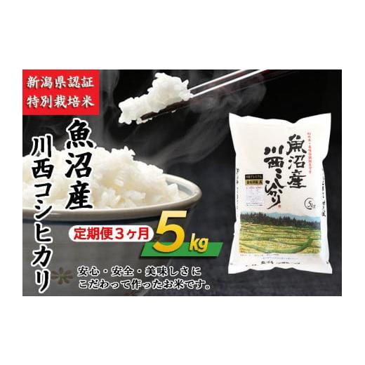 ふるさと納税 新潟県 十日町市 魚沼産川西こしひかり5kg　新潟県認証特別栽培米　令和５年度米