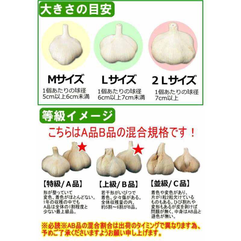 青森 にんにく 1kg 青森 Mサイズ厳選 AB品混合 国産 ニンニク 1キロ