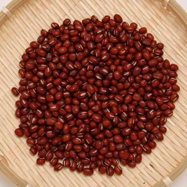 豆 とよみ大納言小豆 あずき 北海道産 令和５年産 500g※今年は色が濃く小粒です。