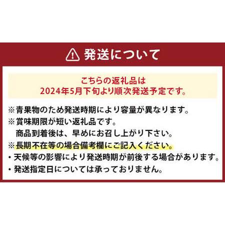 ふるさと納税  先行予約 産地直送 桃 化粧箱入り 約1.0kg 福岡県広川町