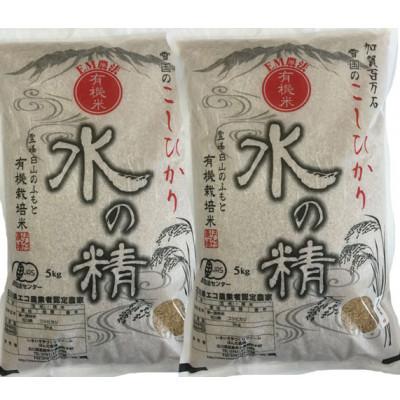 ふるさと納税 能美市 有機米こしひかり「水の精」玄米 10kg (5kg×2袋)