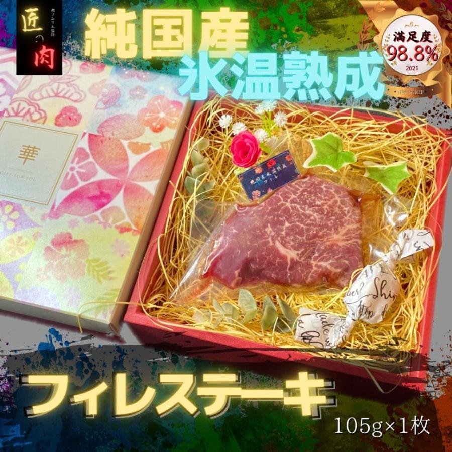 ヒレ ステーキ 100g プレゼント 氷温熟成 肉 国産 牛 焼肉 ギフト 赤身 通販 フィレ ヘレ