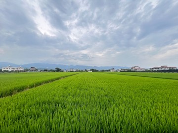 住商蓮姊～壯圍近國五傳承農地｜宜蘭縣壯圍鄉功勞段