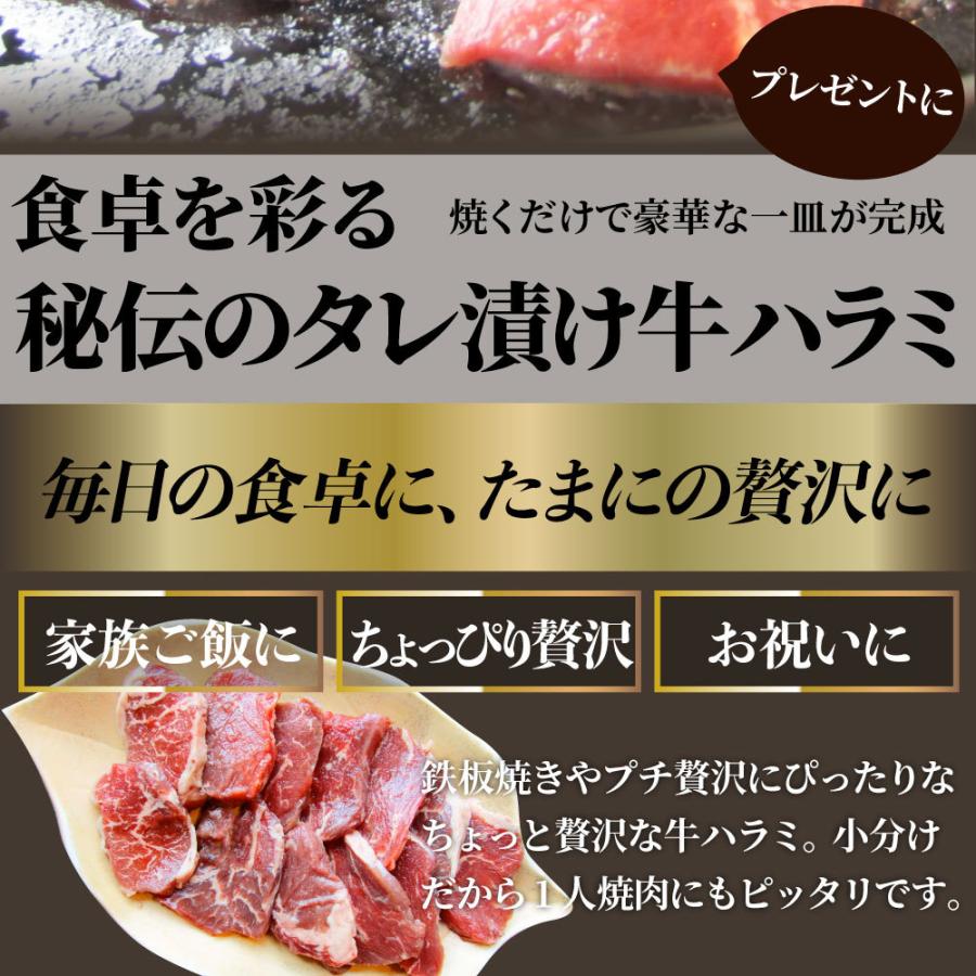 牛ハラミ焼肉（タレ漬け）1kg（250g×4） タレ 赤身 はらみ 秘伝 焼肉 やきにく ハラミ アウトドア お家焼肉 BBQ キャンプ キャンプ飯