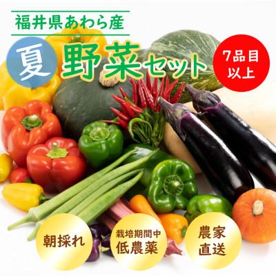 ふるさと納税 あわら市 農家直送 夏野菜セット 1箱 7品目以上 《元気に育った新鮮野菜!》